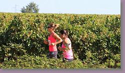 Trial Carignan 329 * 680 x 389 * (159KB)